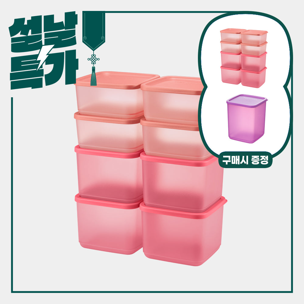 싱싱 블록 정사각 세트 8p (+싱싱블록 1.8L & 같은 상품 추가 증정)