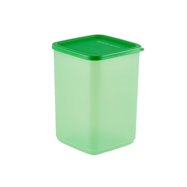 싱싱 블록 2.2L 초록